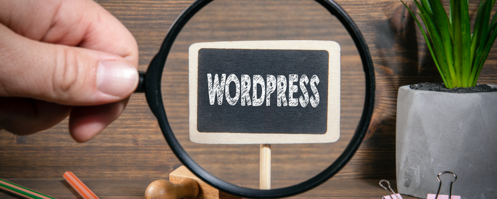 dostepna strona WordPress